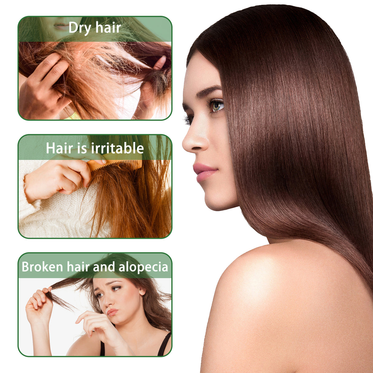 Rosemary Shampoo, Prevents Hair Loss Oil Control Fluffy And Smooth Shampoo - V.I.P Digital Presence