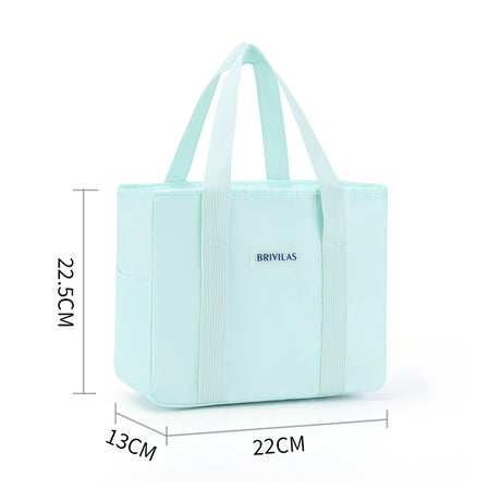 Simple style fresh ice pack commuter insulation lunch box bag lunch lunch bag - V.I.P Digital Presence