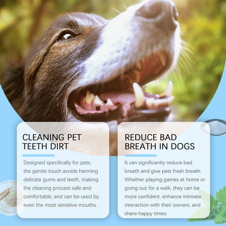 New Pet Toothbrush, Gentle Care, Fresh Breath Clean Bad Breath Pet Teeth Cleaning Pen - V.I.P Digital Presence