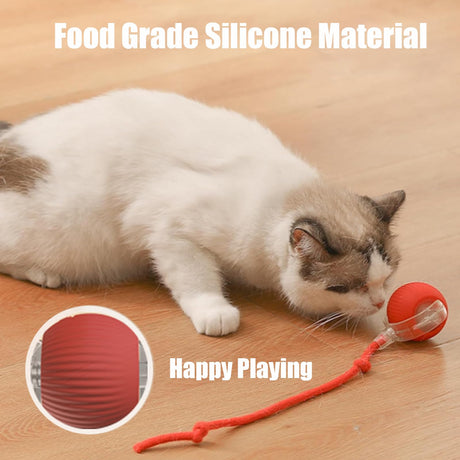 New Design 360° Smart Automatic Interactive Dog Smart Ball Toy Interactive Cat Toys Rolling Ball with USB Charger - V.I.P Digital Presence