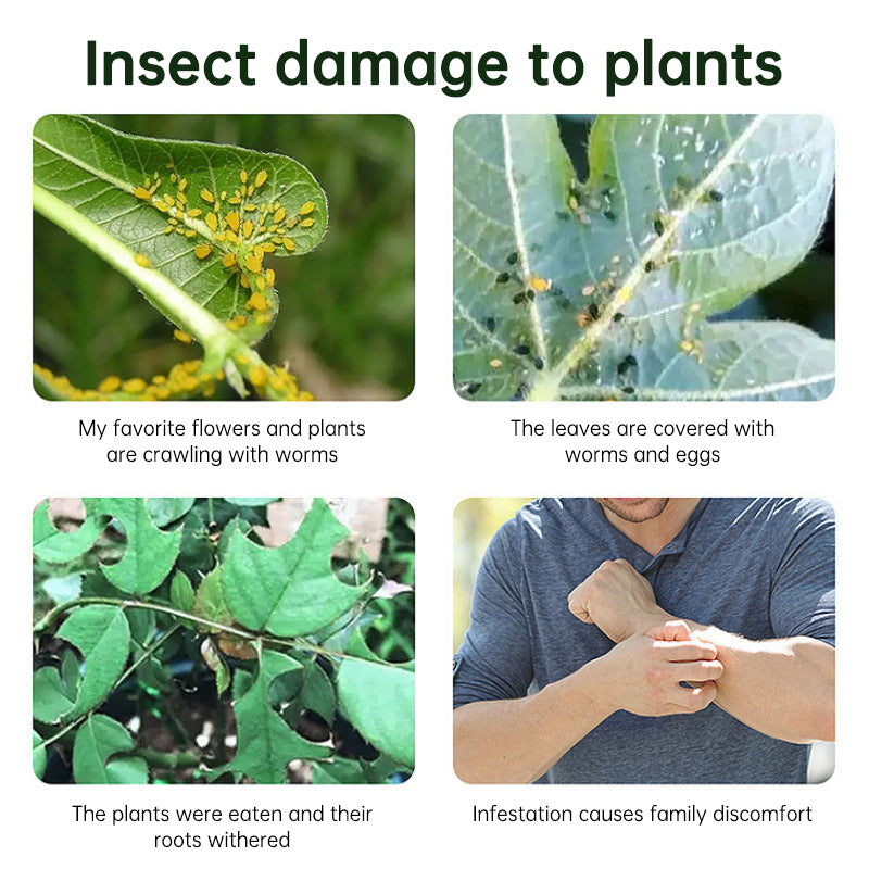 Insecticide flower plant insecticide flower aphids rose flower diseases and insect pests indoor flower spray insecticide water e - V.I.P Digital Presence