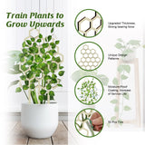 Garden Plant Trellis, Home Wooden Geometric Molding Decorative Support Flower Arrangements Climbing Pergola - V.I.P Digital Presence
