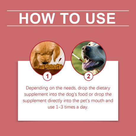 Pet Dog Syrup Pampers Pet Dogs With Gentle Ingredients To Help Absorb Care Supplements - V.I.P Digital Presence