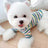 Rainbow Undercoat Dog Clothes Pet Clothes Cat Bears VIP Pomeranian Schnauzer Small Dog Clothes - V.I.P Digital Presence