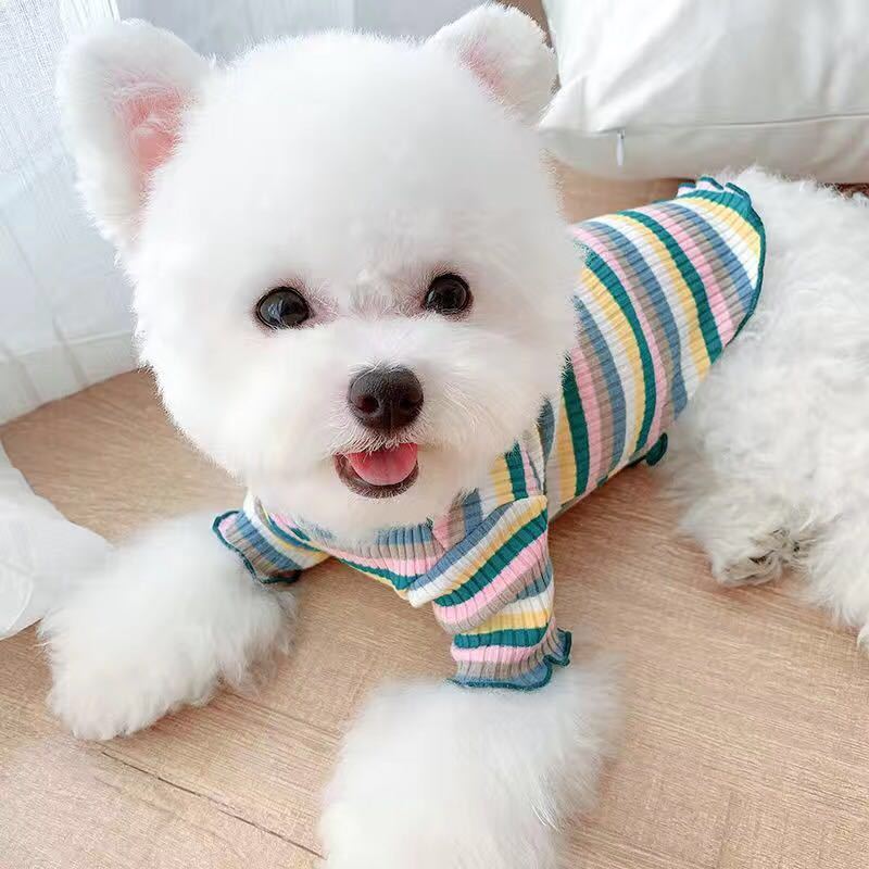 Rainbow Undercoat Dog Clothes Pet Clothes Cat Bears VIP Pomeranian Schnauzer Small Dog Clothes - V.I.P Digital Presence