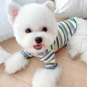 Rainbow Undercoat Dog Clothes Pet Clothes Cat Bears VIP Pomeranian Schnauzer Small Dog Clothes - V.I.P Digital Presence