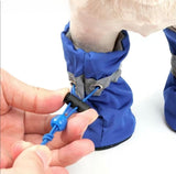 PawGuard Dog Boots