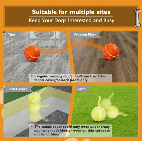 SmartRoll Pet Ball - V.I.P Digital Presence