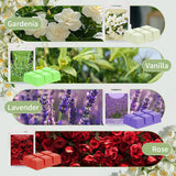 Colorful Eight - scent Scented Wax Cubes Set - V.I.P Digital Presence
