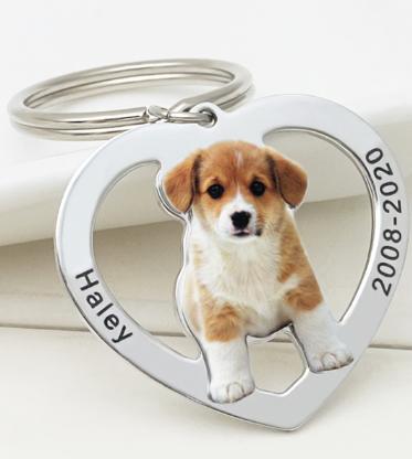 Family commemorative pet dog hang tag photo keychain couple photo titanium steel DIY necklace pendant customized - V.I.P Digital Presence
