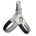 PawFit Dog Harness Leash