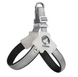 PawFit Dog Harness Leash
