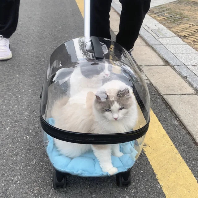 New Transparent Capsule Pet Travel Trolley Carriers Bag Stroller for 10kg Puppies Dogs Cat with Wheel - V.I.P Digital Presence