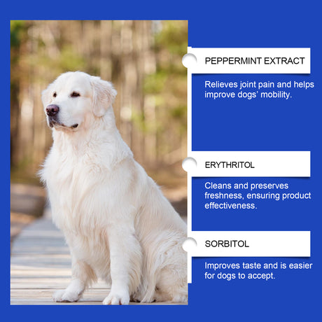 Pet Dog Joint Supplement To Enhance Nutrition Care Joint Health Pet Joint Care Agent - V.I.P Digital Presence