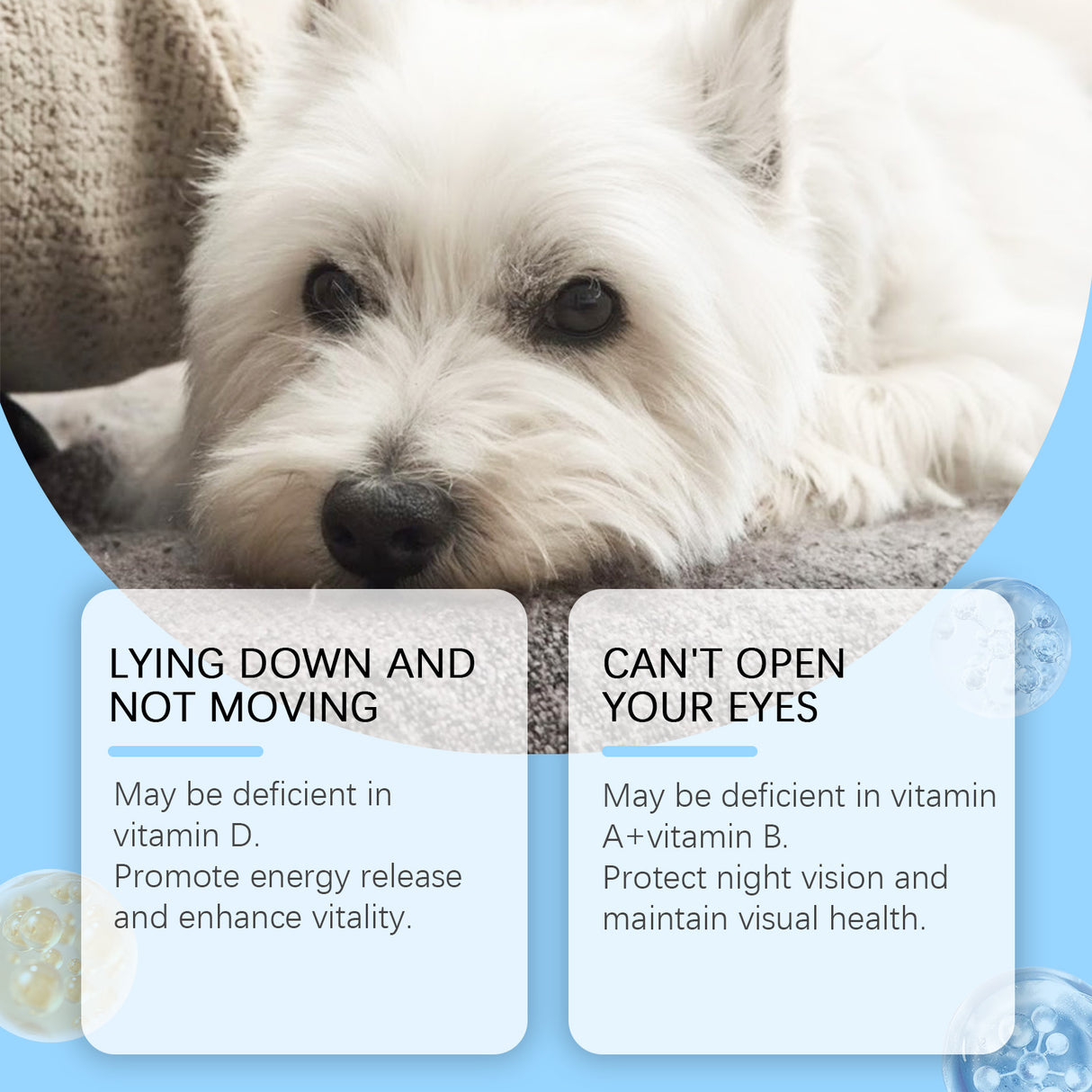Multivitamin Tablets For Dogs, Cats, Dogs And Pets Absorb Nutritional Health Supplements - V.I.P Digital Presence
