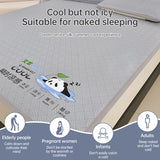 600D Carbon Fiber Summer Mat, Natural Ice Vine Cooling Mat, Can, Naked-sleep Cool Mattress, Pillowcase - V.I.P Digital Presence