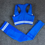 Seamless Yoga Set Sport Wear Women Gym Workout Fitness Clothing Female Sport Suit High Waist Legging Sports Bra Tracksuit - V.I.P Digital Presence