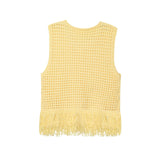 Fashionable Casual Tassel Design Plaid Knitted Top for Women - V.I.P Digital Presence