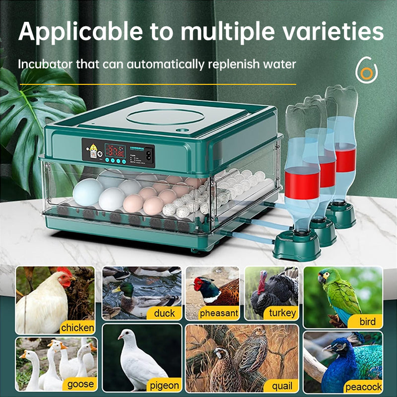 9 - 48 Egg Incubator: Automatic Egg - Turning & Humidity Monitoring. Duck Incubator with Auto - Water Ionic Waterbed - V.I.P Digital Presence