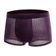Mesh ice silk mesh underwear for men's square angle underwear - V.I.P Digital Presence