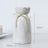 European-style creative ribbon ceramic vase dining room table dry flower arrangement table top decoration at home - V.I.P Digital Presence