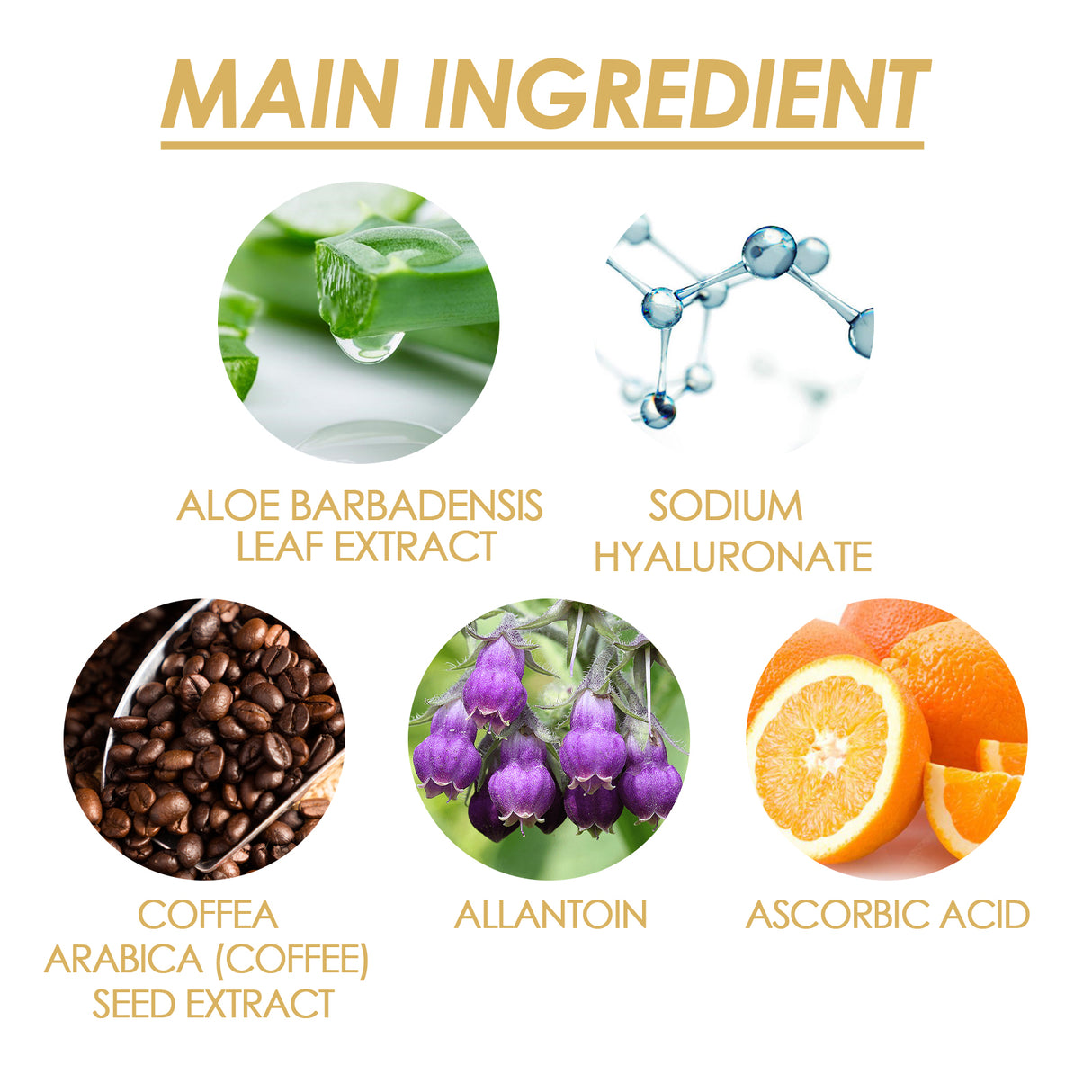 Liquid Silk Body Essence Oil, Anti-Wrinkle Hydrating Repair Chicken Skin Firming Beauty Body Care Oil - V.I.P Digital Presence