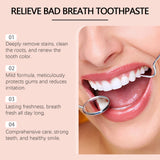 Clean Toothpaste Gentle Clean Care Teeth Bright Fresh Mint Oral Care Toothpaste - V.I.P Digital Presence