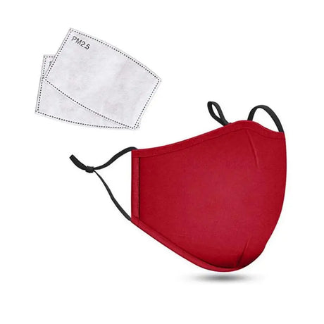 PM2.5 Anti Dust Mask Activated Carbon Filter Masks Windproof Mouth-muffle Proof Flu Face Masks With Filters - V.I.P Digital Presence