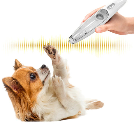 Pet Trim Light Shaver - V.I.P Digital Presence