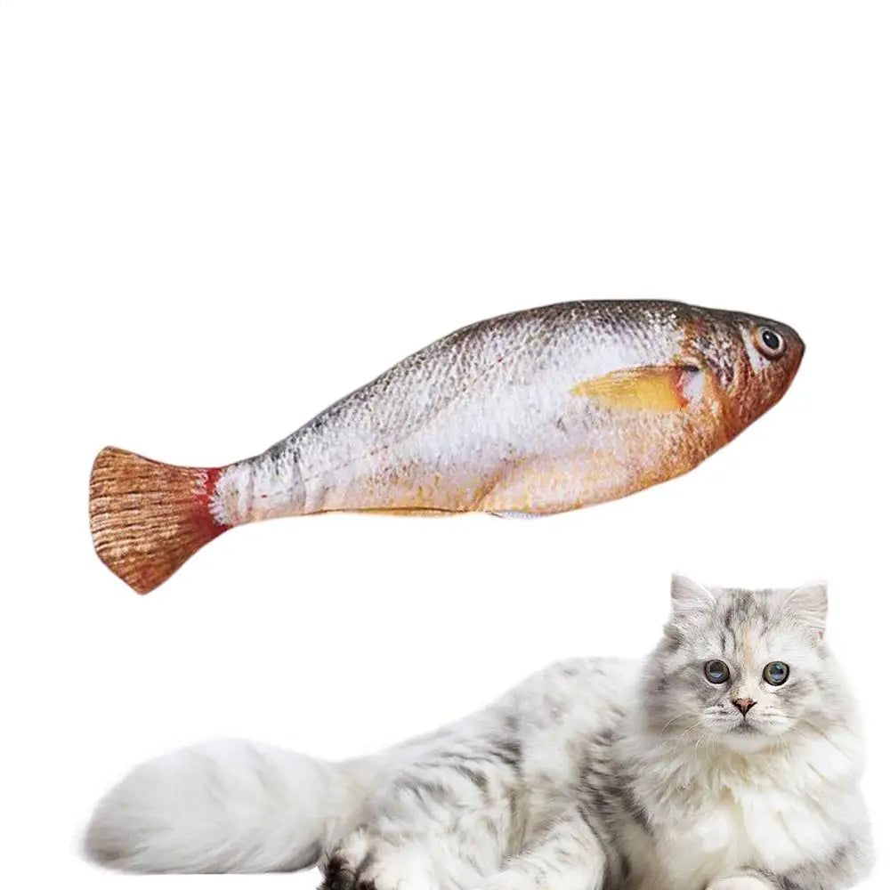 Floppy Fish PlayMate - V.I.P Digital Presence