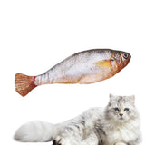 Floppy Fish PlayMate - V.I.P Digital Presence