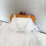 Acrylic Chain Hairy Banquet Bag Hairy Shoulder Underarm Bag Camel Bird Hair Wooden Frame Handbag for Women - V.I.P Digital Presence