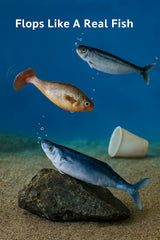 Floppy Fish PlayMate - V.I.P Digital Presence