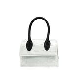 Fashion Crocodile Pattern PVC Women Top Handle Purse Jelly Color Brand Crossbody Bag  Summer Mini Beach Handbag - V.I.P Digital Presence