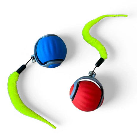 Flap Cat Ball - V.I.P Digital Presence