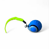 Flap Cat Ball - V.I.P Digital Presence