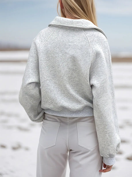 Half Zip Long Sleeve Sweatshirt - V.I.P Digital Presence