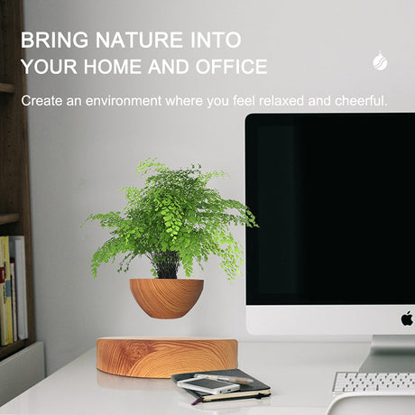 LevitaSphere Wood Grain - V.I.P Digital Presence