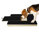 Paw Nail Smooth Board - V.I.P Digital Presence