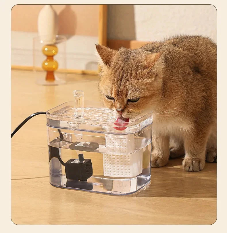 Pet Fountain V.I.P - V.I.P Digital Presence