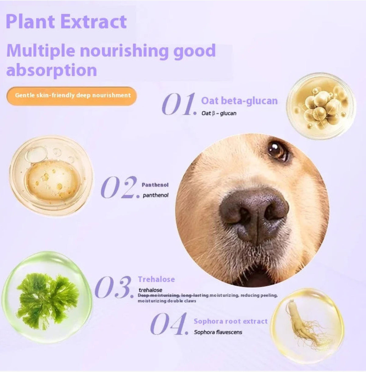 Pet Paw Moistening - V.I.P Digital Presence