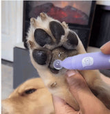 Pet Paw Moistening - V.I.P Digital Presence