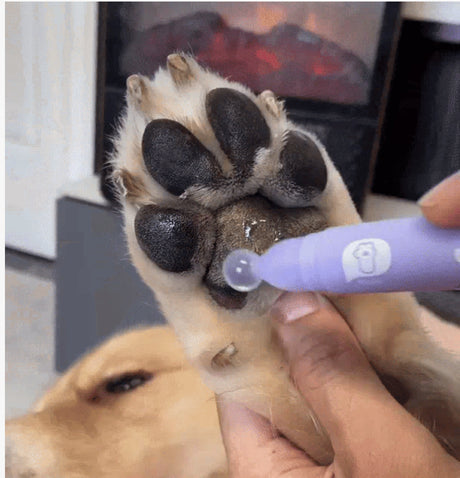 Pet Paw Moistening - V.I.P Digital Presence