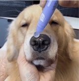 Pet Paw Moistening - V.I.P Digital Presence