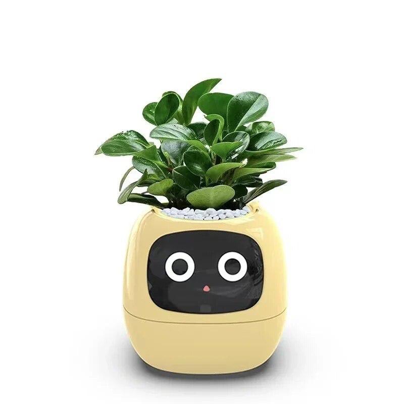 SRLSTRAIGHTTYPE PLANT POT-Lvaliemカタチ製作所 LECA Pots 3-pack, Semi Hydro Self Watering Planter for Houseplants