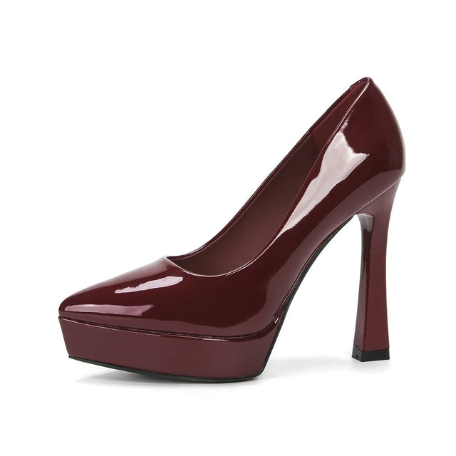 Point Toe High Heel Pumps - V.I.P Digital Presence