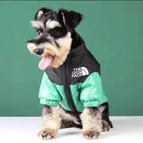 Puffer Dog Jacket - V.I.P Digital Presence