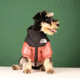 Puffer Dog Jacket - V.I.P Digital Presence