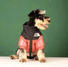 Puffer Dog Jacket - V.I.P Digital Presence