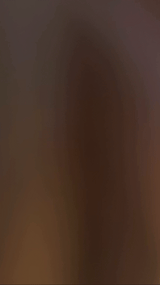 Puffer Dog Jacket - V.I.P Digital Presence